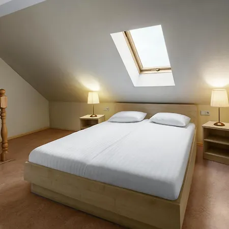 Rija Domus 3* Riga